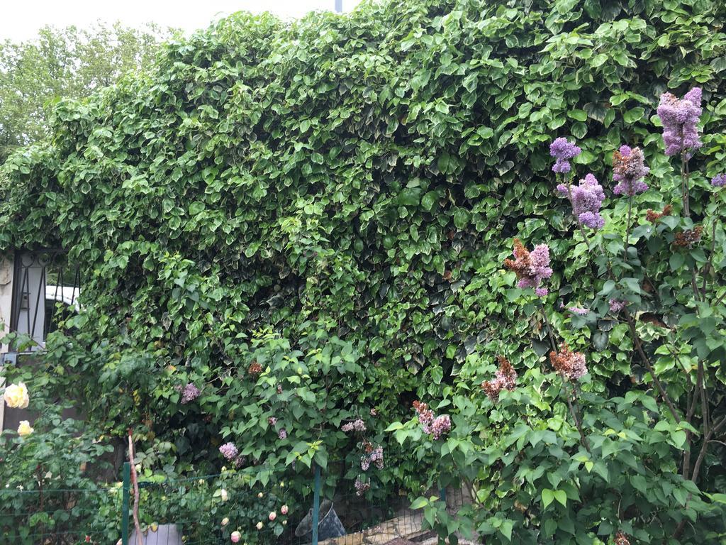 Portail Du Ventoux Central Luxe Jardin Linge Fourni Malaucène المظهر الخارجي الصورة