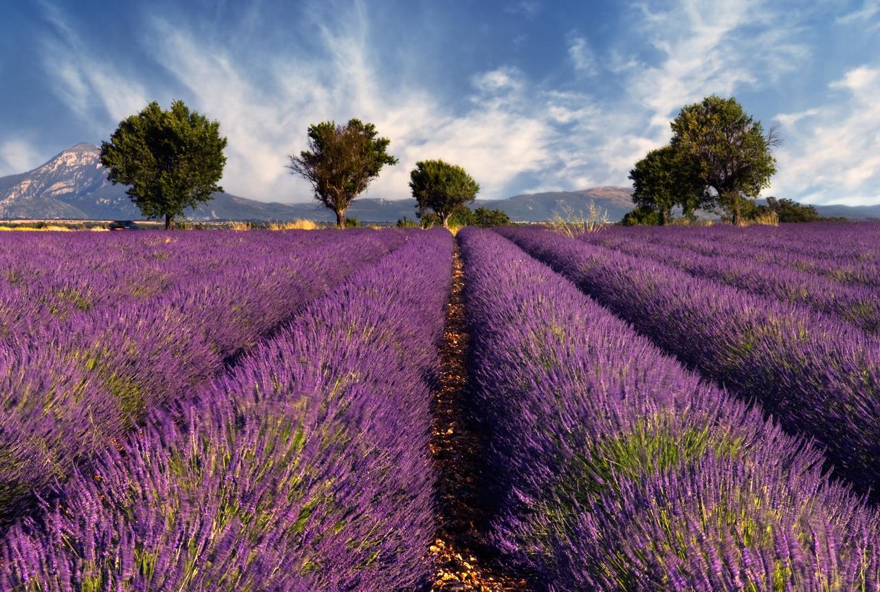 Portail Du Ventoux Central Luxe Jardin Linge Fourni Malaucène المظهر الخارجي الصورة